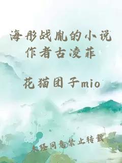 海彤战胤的小说作者古凌菲