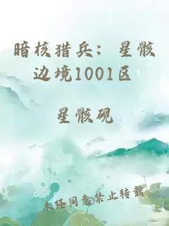 暗核猎兵:星骸边境1001区